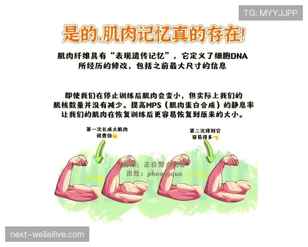 武大靖家冰箱里冻着的不是冰块,是他每天掐秒表练出来的肌肉记忆 武大靖家冰箱里冻着的不是冰块,是他每天掐秒表练出来的肌肉记忆