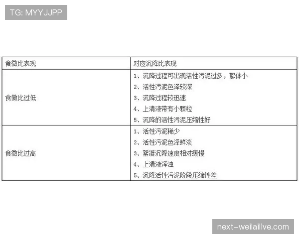 界外判定规则详解:判断标准与常见误区解析 界外判定规则详解:判断标准与常见误区解析