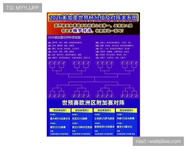 2026世界杯最新分组晋级规则