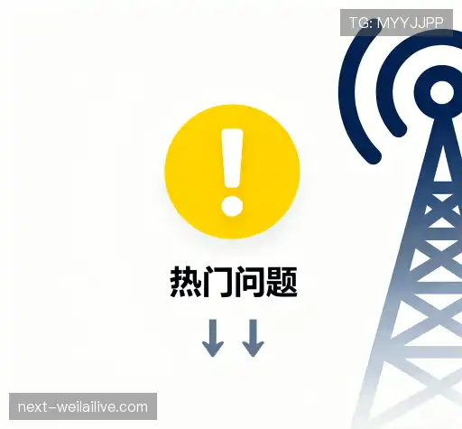 操作指导